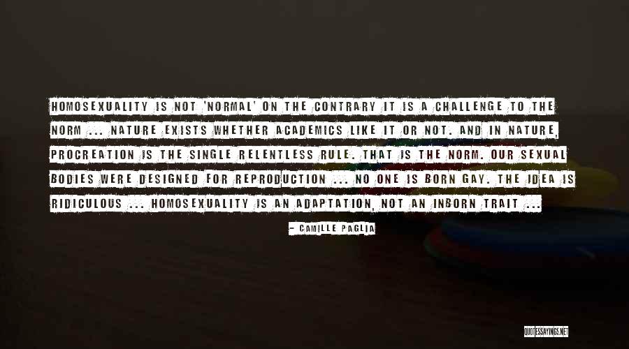 Groggy Synonym Quotes By Camille Paglia Groggy Synonym Quotes By Camille Paglia