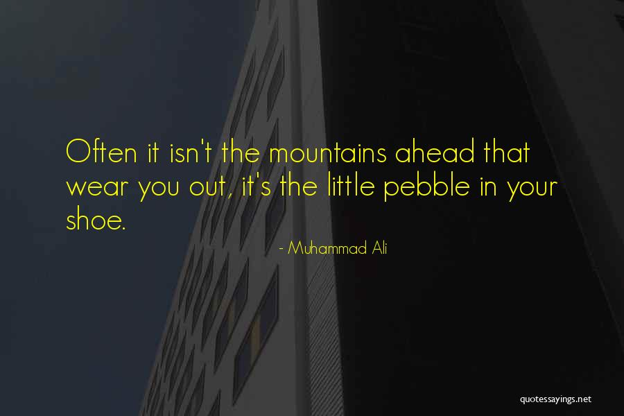 Gromphadorholaelaps Quotes By Muhammad Ali Gromphadorholaelaps Quotes By Muhammad Ali