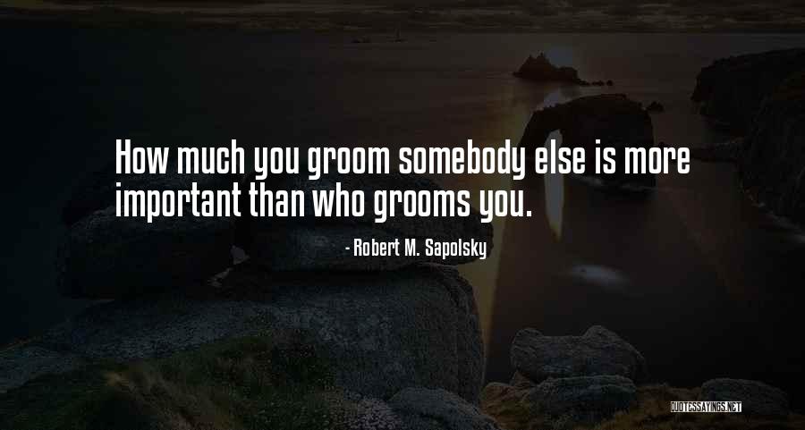 Groom Quotes By Robert M. Sapolsky Groom Quotes By Robert M. Sapolsky