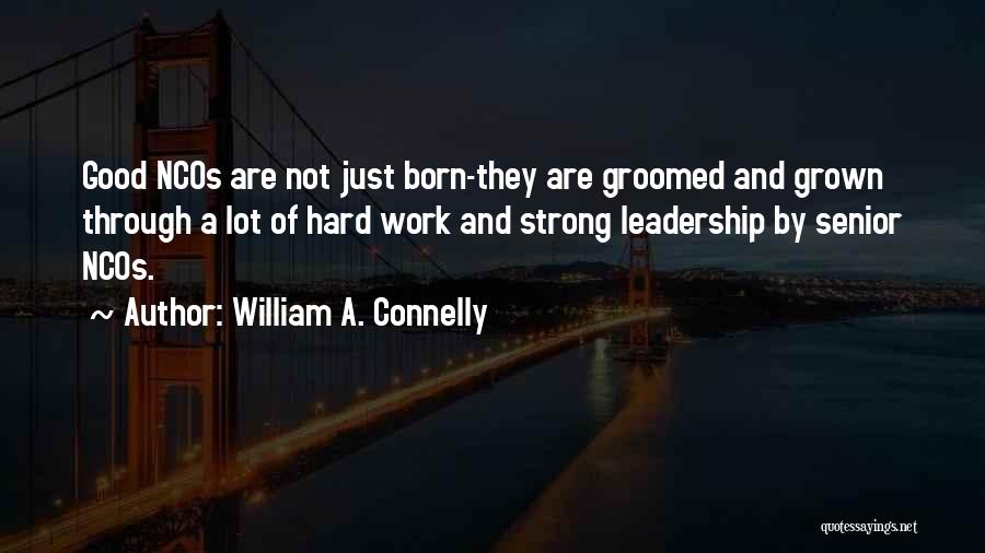 Groomed Quotes By William A. Connelly