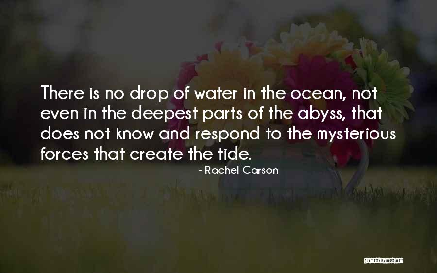 Groomes Family Coat Quotes By Rachel Carson Groomes Family Coat Quotes By Rachel Carson