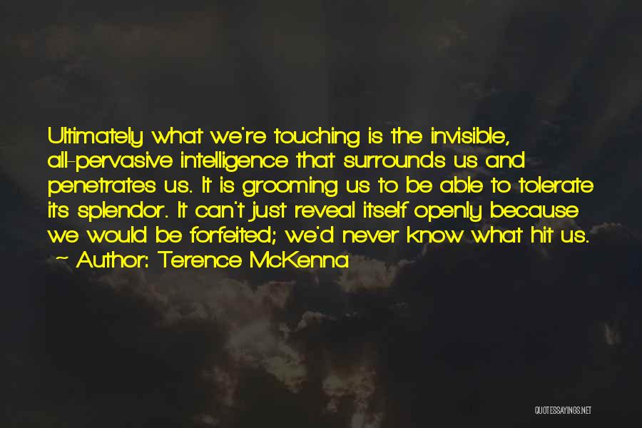 Grooming Quotes By Terence McKenna