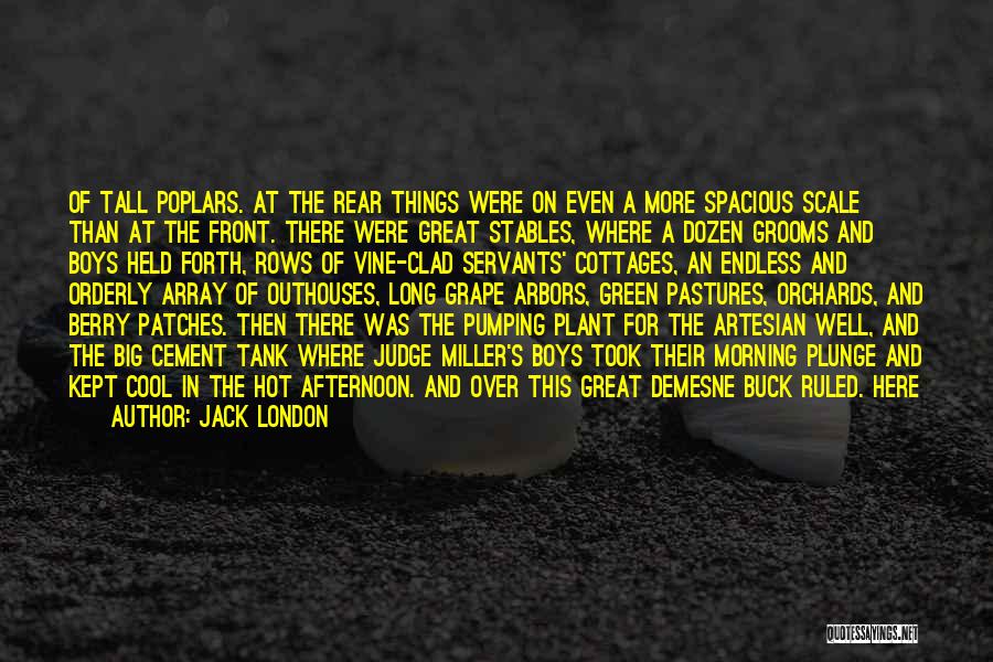 Grooms Quotes By Jack London