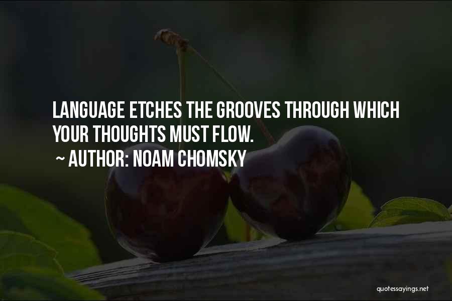 Groove Quotes By Noam Chomsky