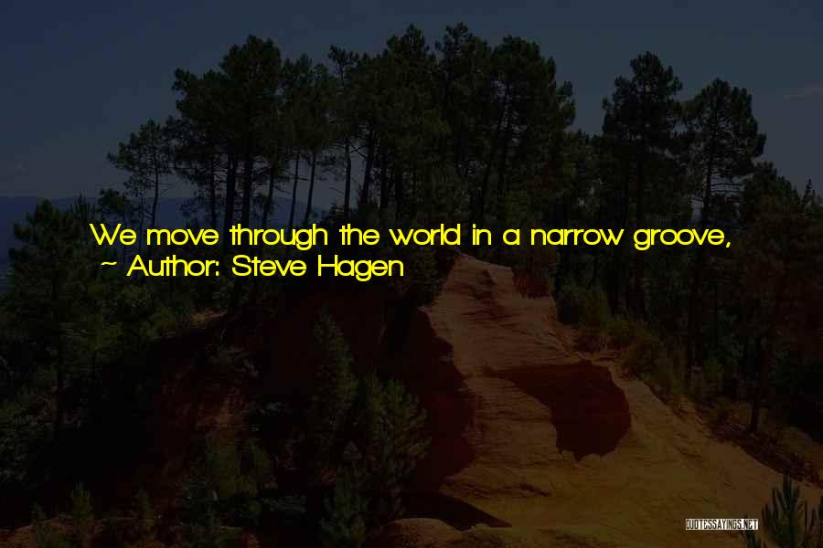 Groove Quotes By Steve Hagen