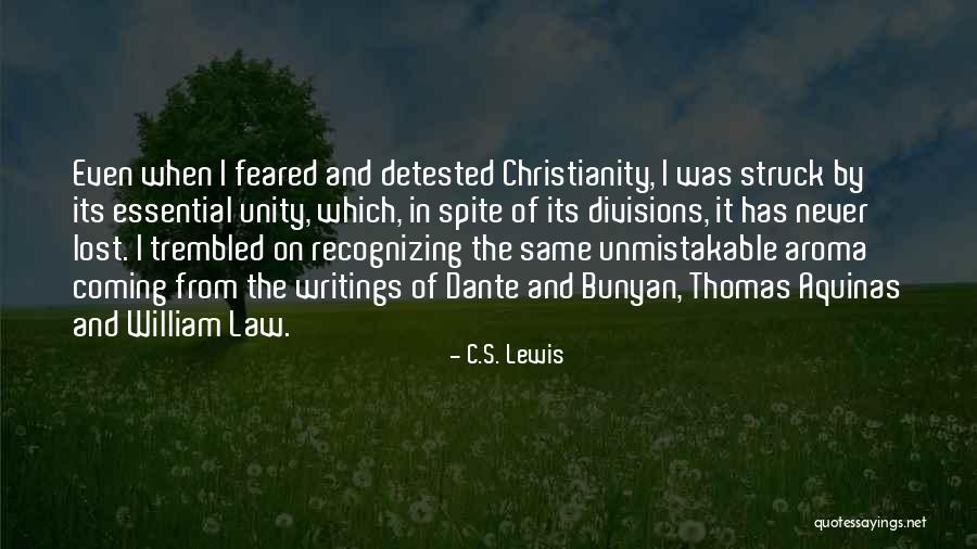 Grooved Plywood Quotes By C.S. Lewis Grooved Plywood Quotes By C.S. Lewis