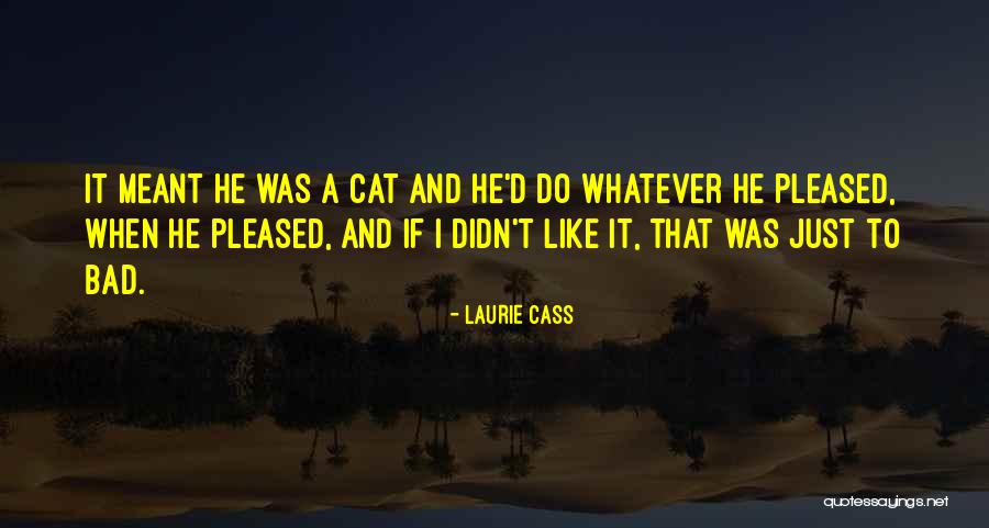Groschopp 12v Quotes By Laurie Cass Groschopp 12v Quotes By Laurie Cass