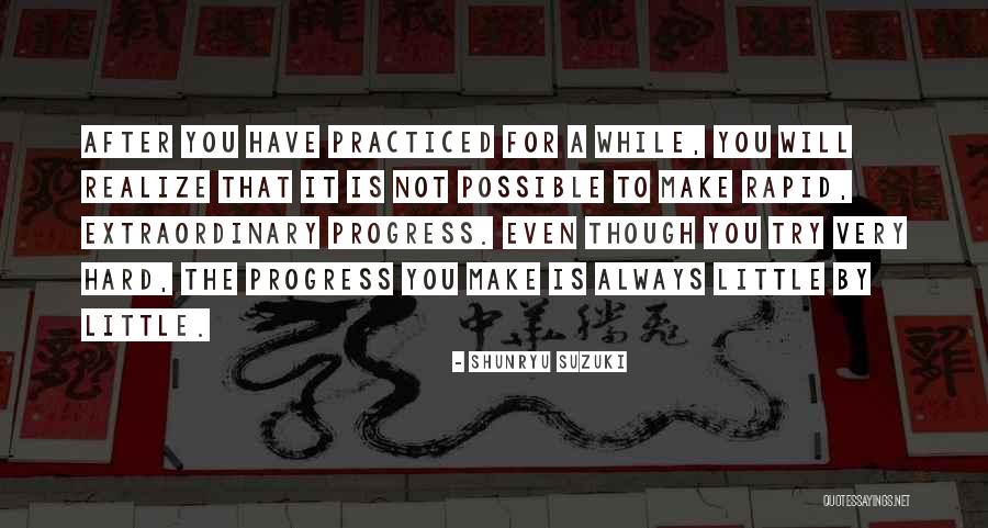 Groschopp 12v Quotes By Shunryu Suzuki Groschopp 12v Quotes By Shunryu Suzuki