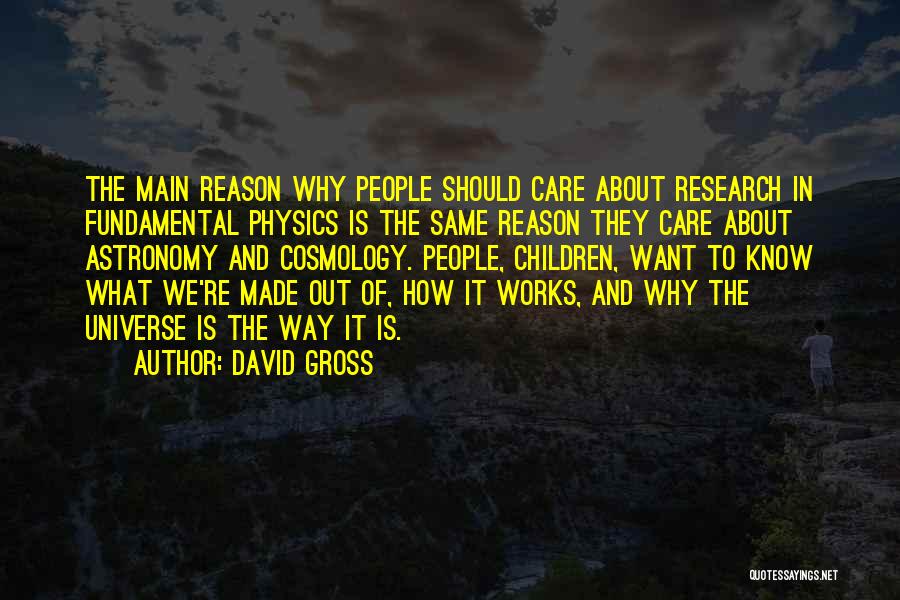 Gross Quotes By David Gross