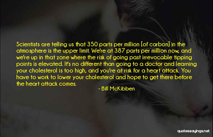 Grossberg Mediamaking Quotes By Bill McKibben