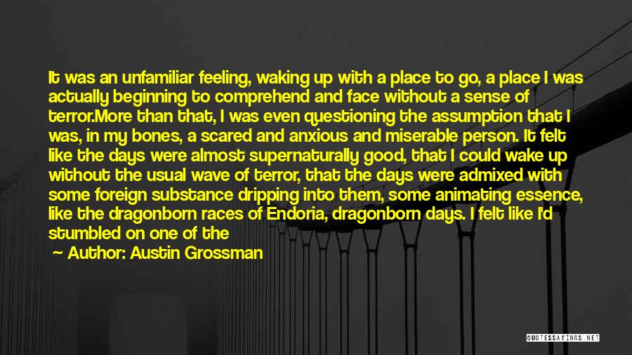 Grossman Quotes By Austin Grossman