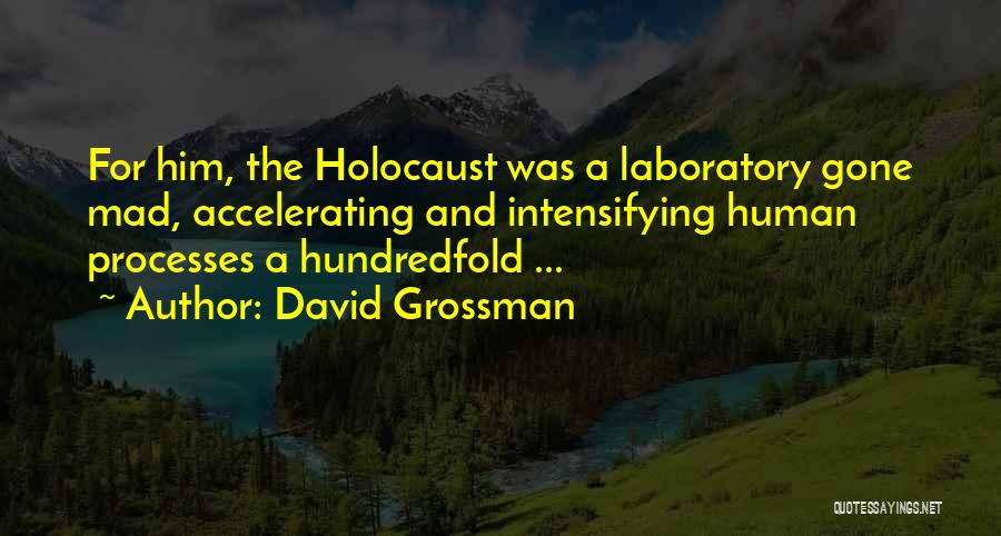 Grossman Quotes By David Grossman