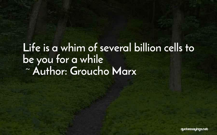 Groucho Marx Quotes 1435976