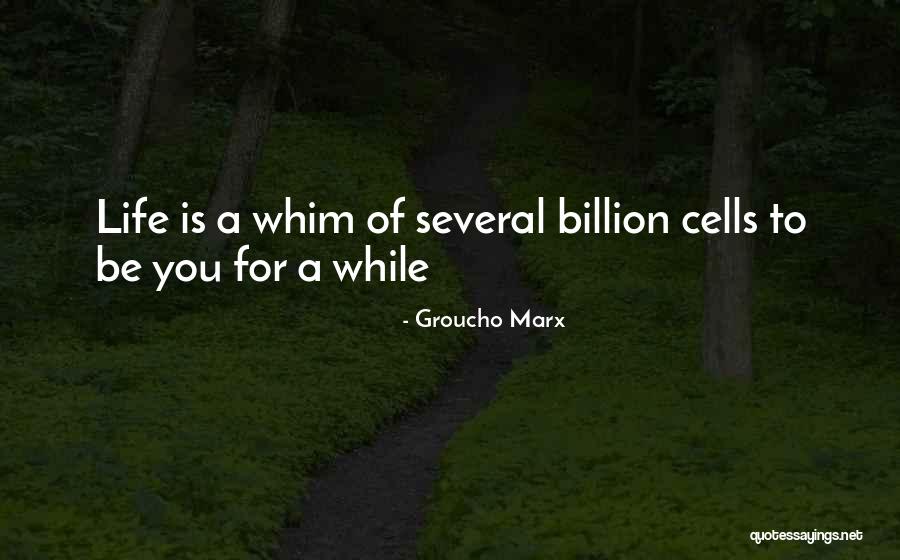 Groucho Marx Quotes 1435976 Groucho Marx Quotes 1435976
