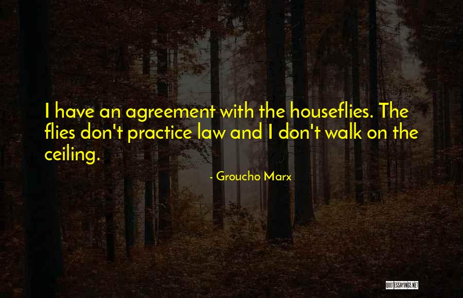 Groucho Marx Quotes 1861283