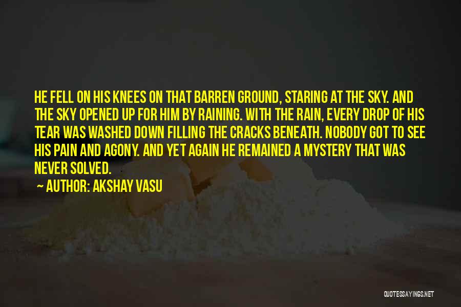 Ground And Sky Quotes By Akshay Vasu