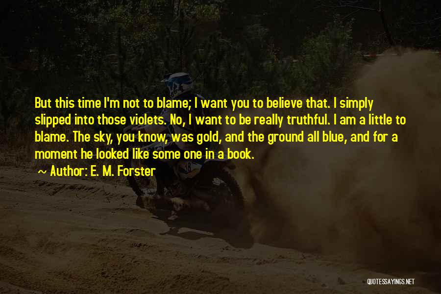 Ground And Sky Quotes By E. M. Forster