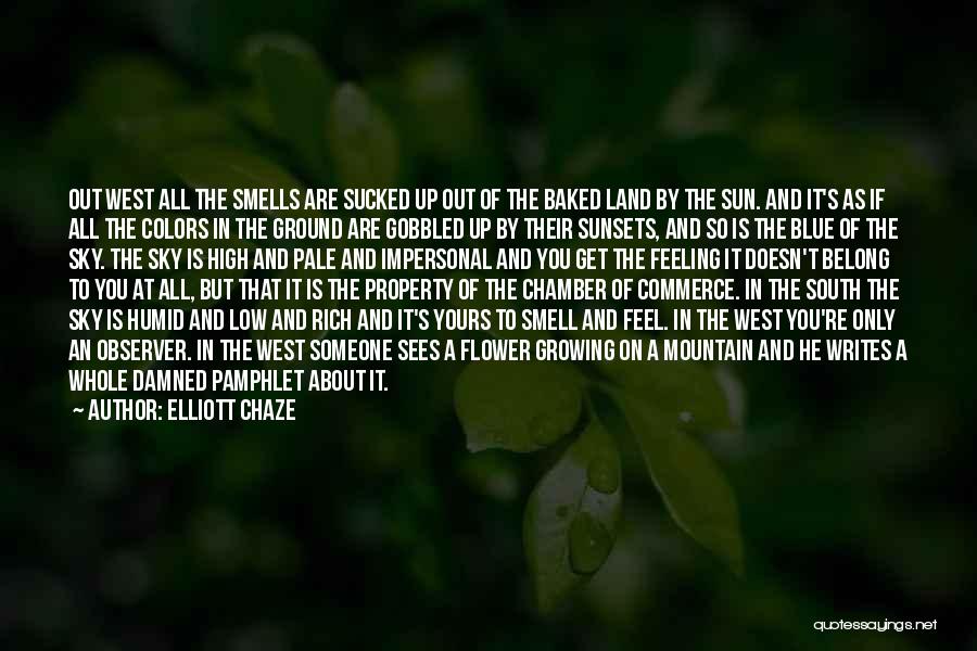 Ground And Sky Quotes By Elliott Chaze