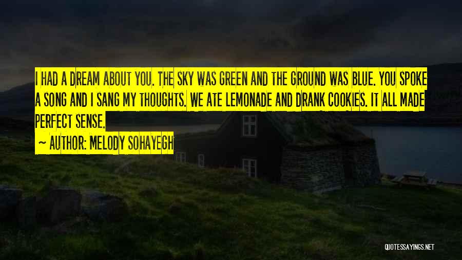 Ground And Sky Quotes By Melody Sohayegh