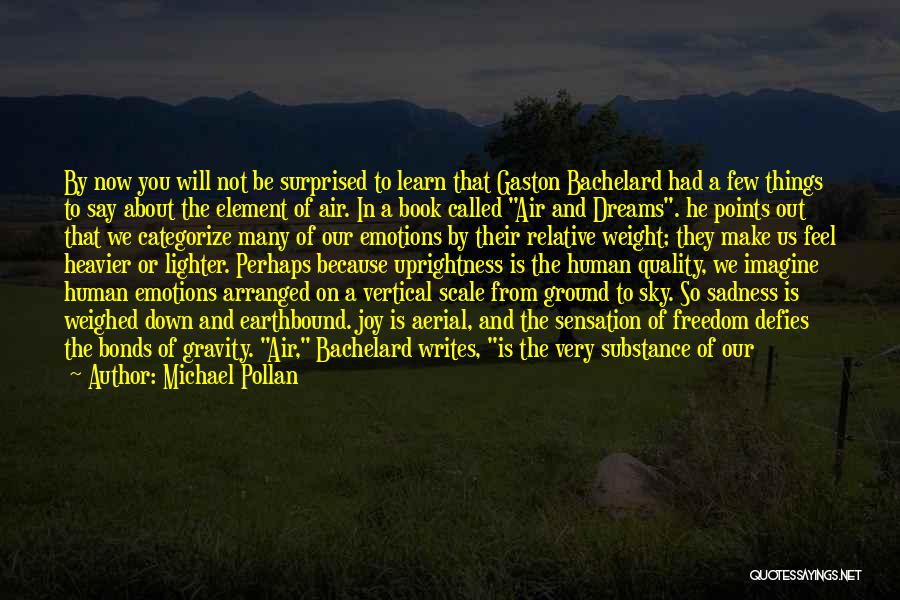 Ground And Sky Quotes By Michael Pollan