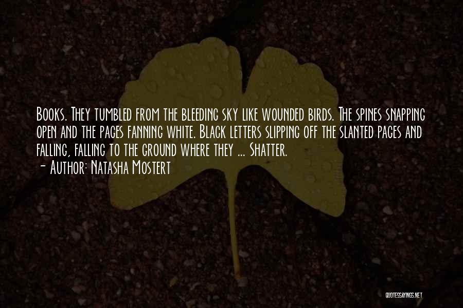 Ground And Sky Quotes By Natasha Mostert