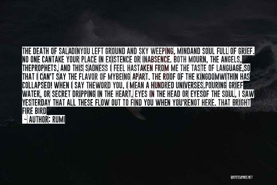 Ground And Sky Quotes By Rumi