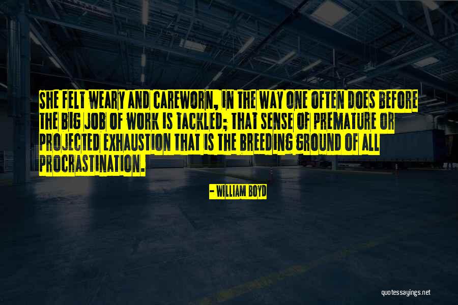 Ground Or Quotes By William Boyd Ground Or Quotes By William Boyd