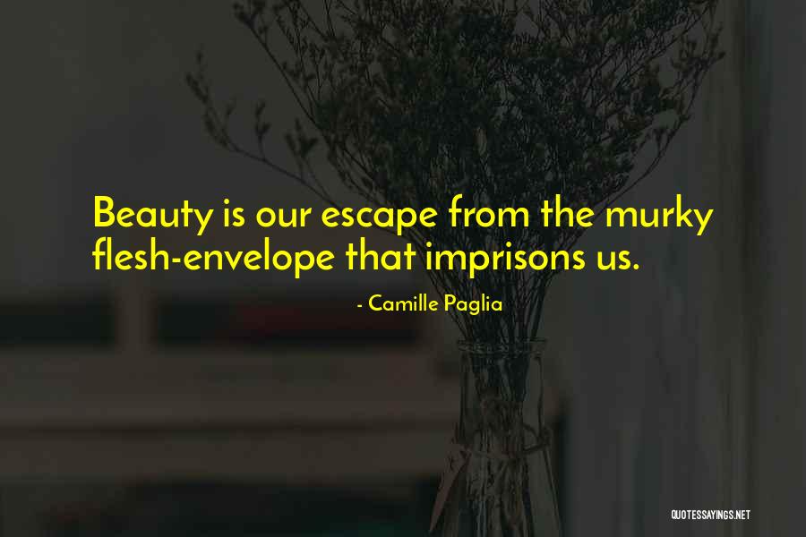 Ground Pounders Quotes By Camille Paglia Ground Pounders Quotes By Camille Paglia