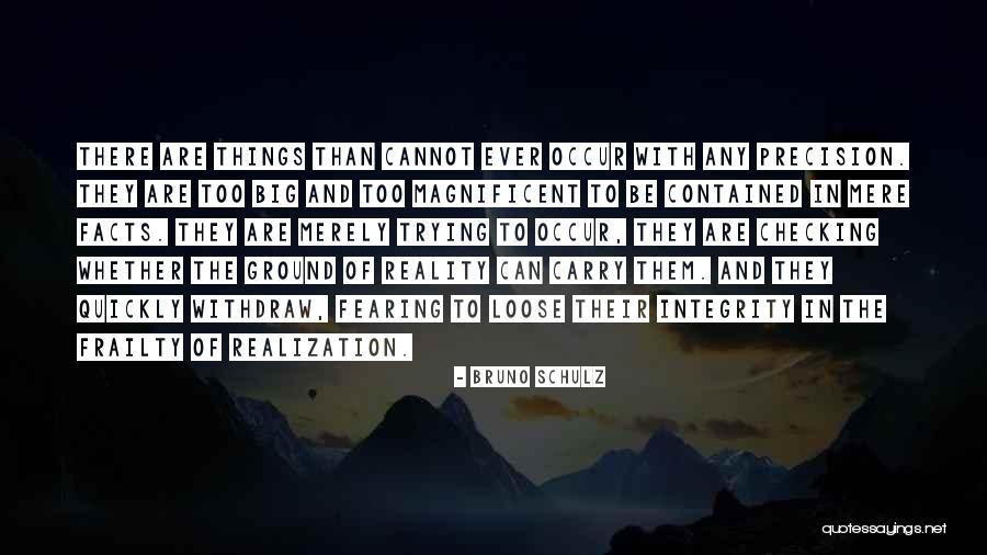 Ground Reality Quotes By Bruno Schulz Ground Reality Quotes By Bruno Schulz