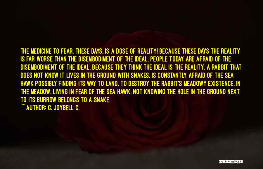 Ground Reality Quotes By C. JoyBell C.
