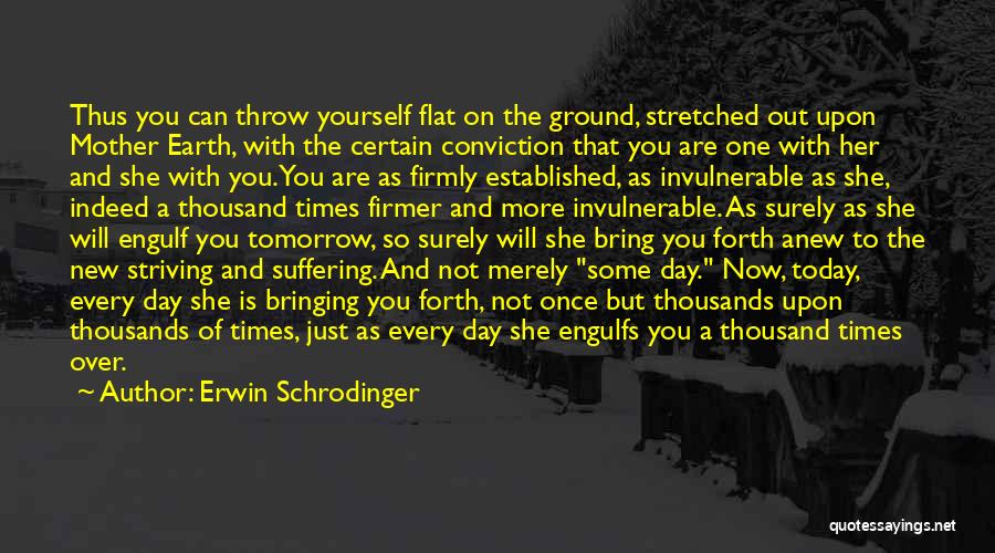 Ground Yourself Quotes By Erwin Schrodinger