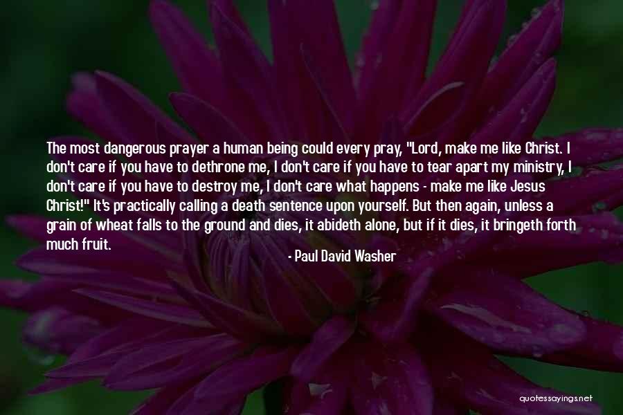 Ground Yourself Quotes By Paul David Washer