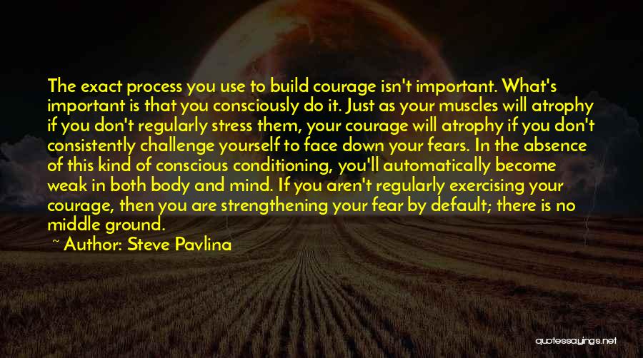 Ground Yourself Quotes By Steve Pavlina