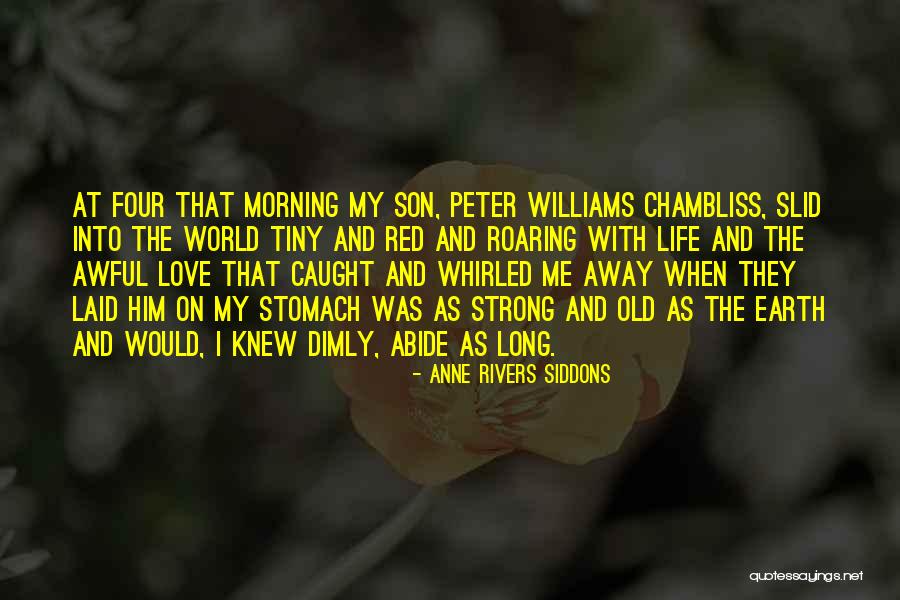 Groundbreaking Synonym Quotes By Anne Rivers Siddons Groundbreaking Synonym Quotes By Anne Rivers Siddons