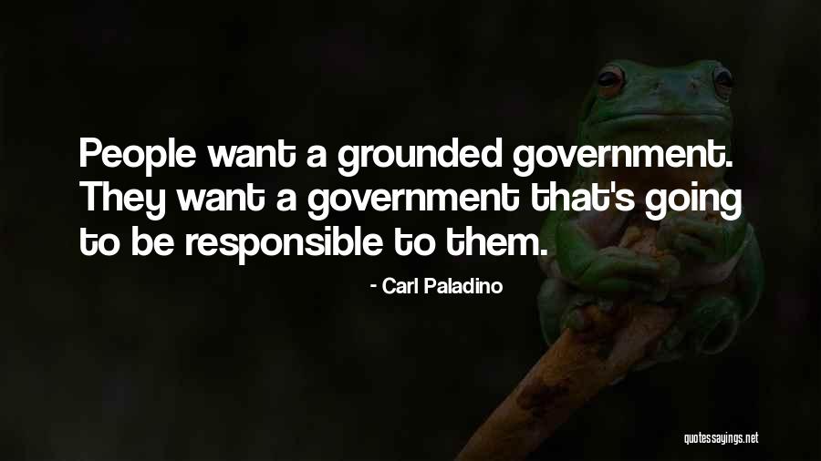 Grounded Quotes By Carl Paladino