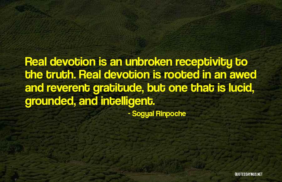 Grounded Rooted Quotes By Sogyal Rinpoche Grounded Rooted Quotes By Sogyal Rinpoche