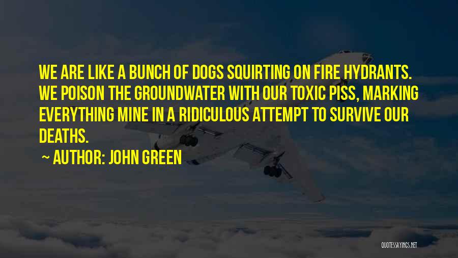 Groundwater Quotes By John Green