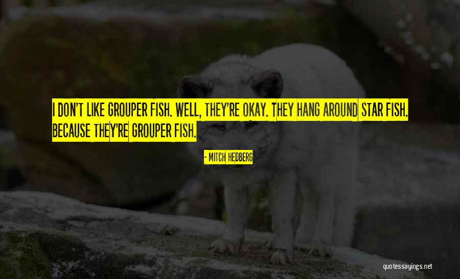 Grouper Fish Quotes By Mitch Hedberg Grouper Fish Quotes By Mitch Hedberg