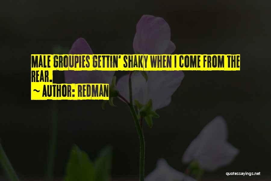 Groupies Quotes By Redman