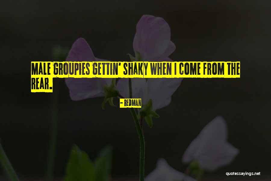 Groupies Quotes By Redman Groupies Quotes By Redman