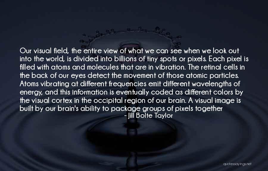 Groups Together Quotes By Jill Bolte Taylor Groups Together Quotes By Jill Bolte Taylor