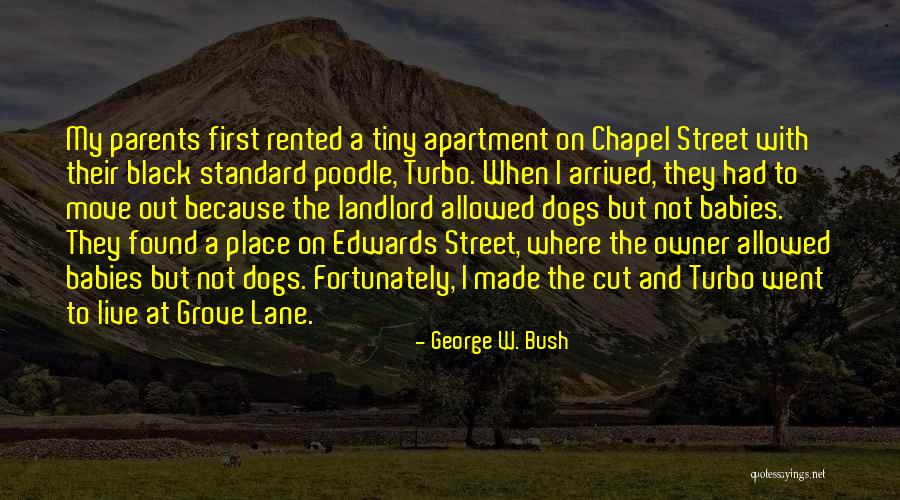 Grove Street Quotes By George W. Bush Grove Street Quotes By George W. Bush