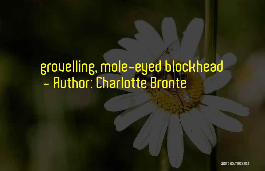 Grovelling Quotes By Charlotte Bronte