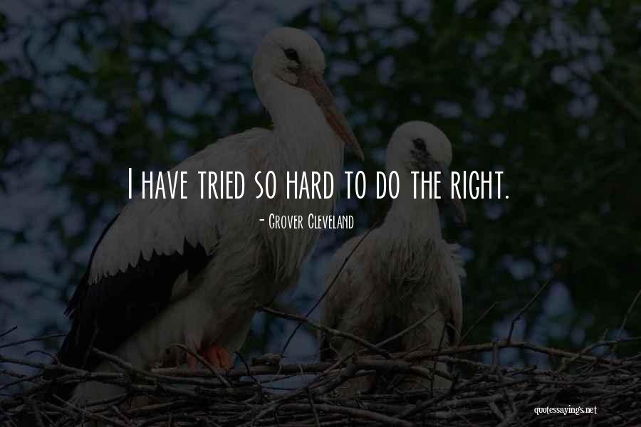 Grover Cleveland Quotes 1501488 Grover Cleveland Quotes 1501488