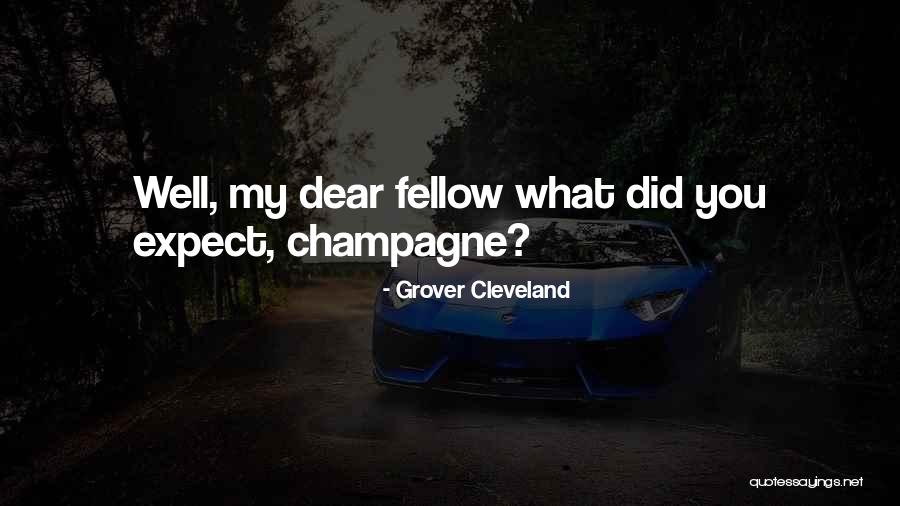 Grover Cleveland Quotes 560598