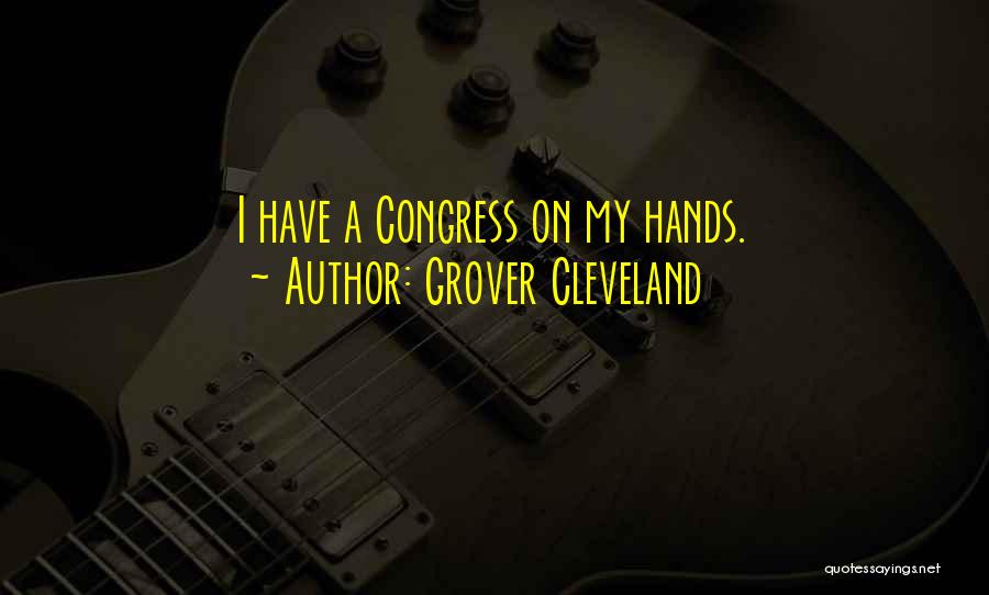 Grover Cleveland Quotes 727957