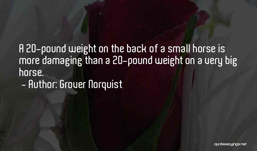 Grover Norquist Quotes 604805