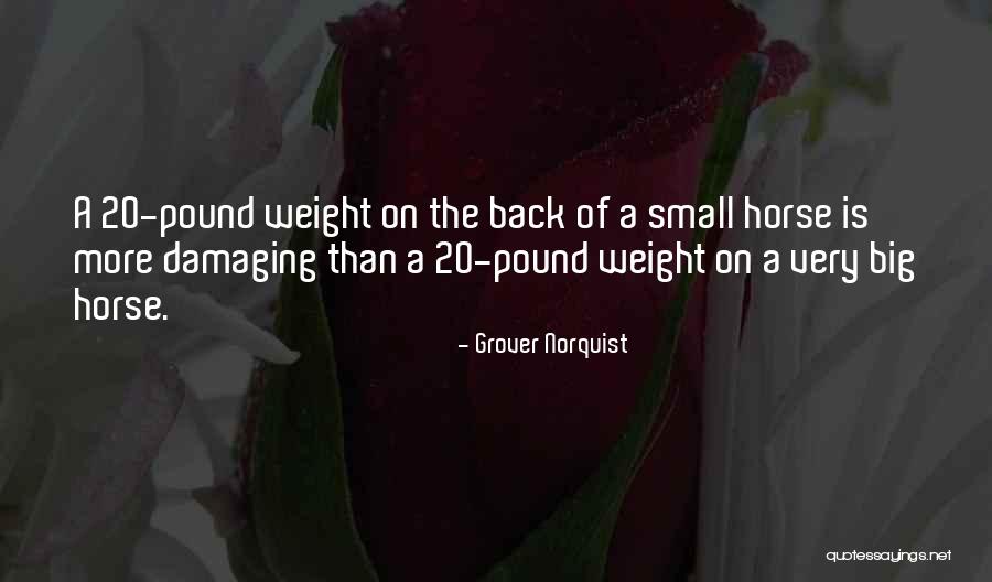 Grover Norquist Quotes 604805 Grover Norquist Quotes 604805