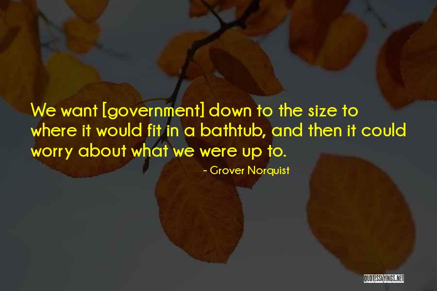 Grover Quotes By Grover Norquist