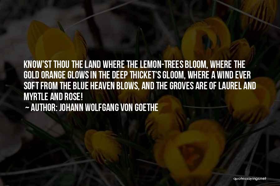 Groves Quotes By Johann Wolfgang Von Goethe